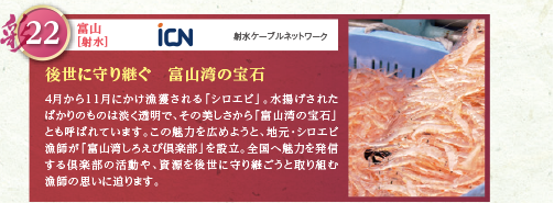 4月から11月にかけ漁獲される「シロエビ」。水揚げされたばかりのものは淡く透明で、その美しさから「富山湾の宝石」とも呼ばれています。この魅力を広めようと、地元・シロエビ漁師が「富山湾しろえび倶楽部」を設立。全国へ魅力を発信する倶楽部の活動や、資源を後世に守り継ごうと取り組む漁師の思いに迫ります。