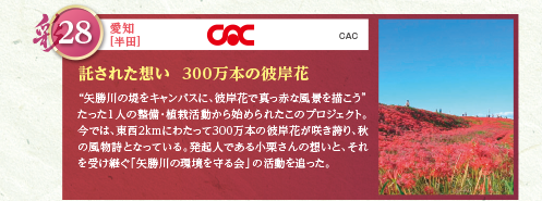 “矢勝川の堤をキャンバスに、彼岸花で真っ赤な風景を描こう”たった1人の整備・植栽活動から始められたこのプロジェクト。今では、東西2kmにわたって300万本の彼岸花が咲き誇り、秋の風物詩となっている。発起人である小栗さんの想いと、それを受け継ぐ「矢勝川の環境を守る会」の活動を追った。