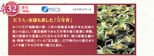 かつて江戸城築城の際、三河の長嶋長兵衛が本丸完成の祝いの品として園芸植物である万年青を徳川家康に寄贈。徳川家康が大変喜んだと伝わる万年青を、徳川家康生誕の地・岡崎で栽培している「宝生園」。江戸時代から現代まで人々を魅了する万年青の魅力に迫る。