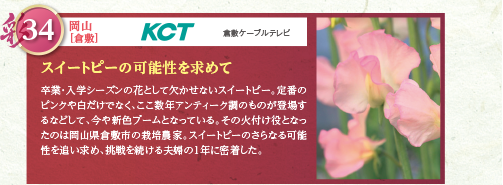 卒業・入学シーズンの花として欠かせないスイートピー。定番のピンクや白だけでなく、ここ数年アンティーク調のものが登場するなどして、今や新色ブームとなっている。その火付け役となったのは岡山県倉敷市の栽培農家。スイートピーのさらなる可能性を追い求め、挑戦を続ける夫婦の1年に密着した。