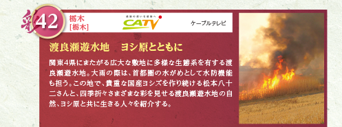 秋田県中央部に位置する秋田市