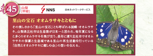 その美しさから「里山の宝石」とも呼ばれる国蝶・オオムラサキ。山梨県北杜市は生息数が日本一と言われ、毎年夏になると多くのオオムラサキを飛び交う。長年に渡り北杜市でオオムラサキの保護と生息域である里山の再生活動を行っている「自然とオオムラサキに親しむ会」の想いを伝える。