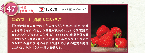 「伊賀の満天の星空の下冬の深々とした寒さに耐え美味しさを増すイチゴ」という意味が込められている伊賀満天星(いがどうだん)いちご。生産しているのは農業を営む北
川敏匡さん。伊賀の山あいで誕生する希少なイチゴができるまでの道のり、そのイチゴを通して伊賀の魅力を発信したいという北川さんの想いを伝える。